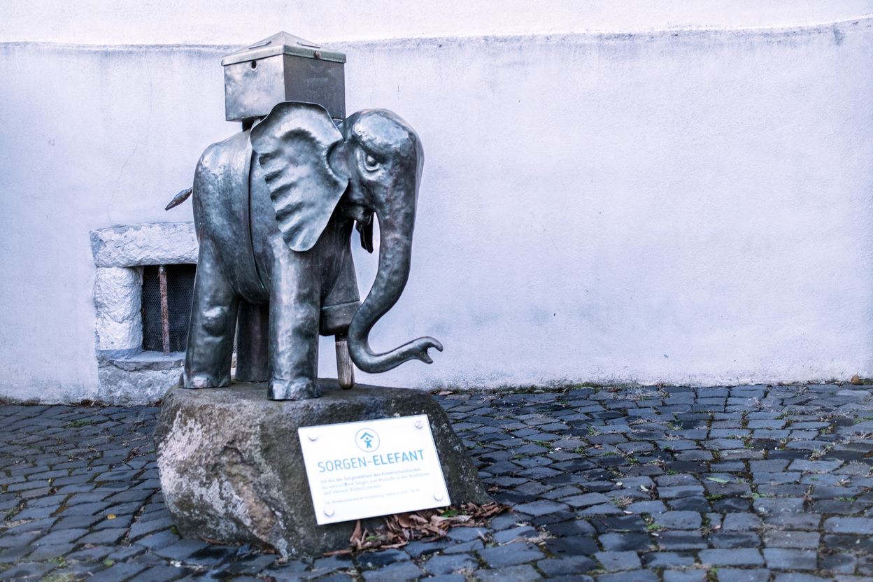 Sorgenelefant Zydek (2)